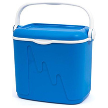 Curver 30-Liter-Kühlbox