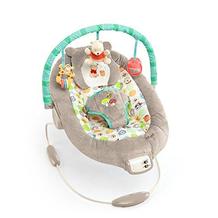 Bright Starts elektrische Babywippe