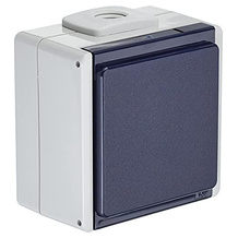 as - Schwabe 62460