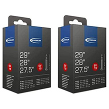 Schwalbe SV19