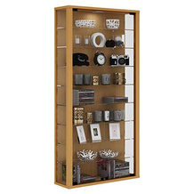 VCM Sammlervitrine