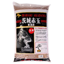 Japan Bonsaierde