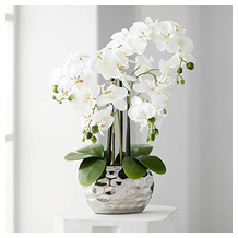 Dahlia Studios künstliche Orchidee