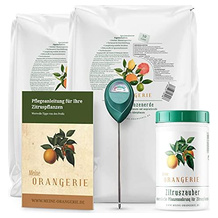Meine Orangerie Zitruserde