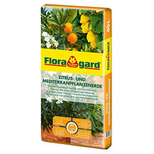 Floragard Zitruserde