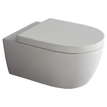 SSWW Wand-WC