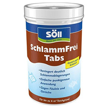 Söll 83333