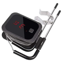 Inkbird IBT-2X