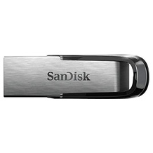 SanDisk SDCZ73-256G-G46