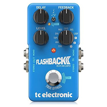 t.c electronic Flashback 2 delay