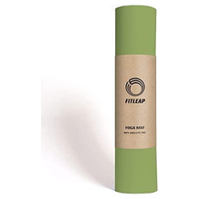 Fitleap Pro