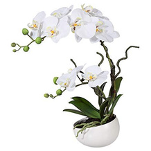 wohnfuehlidee künstliche Orchidee