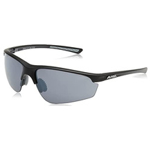 Alpina Ski-Sonnenbrille