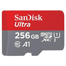 SanDisk SDSQUAR-256G-GN6MA