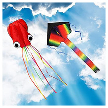 ZoomSky Kinderdrachen