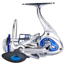 Diwa Forellenrolle