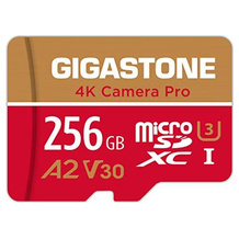 Gigastone 256-GB-Micro-SD