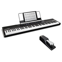 Alesis SP-2