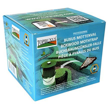 TOPBUXUS Buchsbaumzünsler-Falle