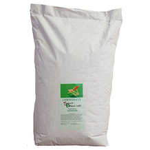 Saatzucht Bardowick Schattenrasen-Samen