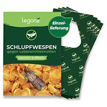 LEGO Lebensmittelmotten-Schlupfwespe