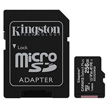 Kingston SDCS2/256GB