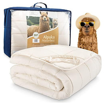 Engelshof Alpakas Münsterland 