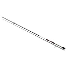 Daiwa Forellenrute