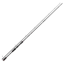 Daiwa Spinnrute