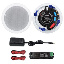 Herdio Bluetooth-Deckenlautsprecher