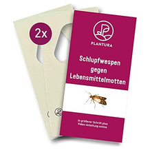 Plantura Lebensmittelmotten-Schlupfwespe