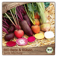 Samenliebe Rote-Beete-Samen