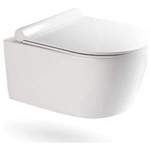 VILSTEIN spülrandloses WC