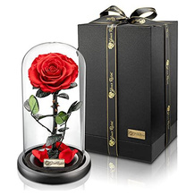 YourRoses - Ziegler&Ribant Ewige Rose