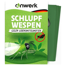 anwerk Lebensmittelmotten-Schlupfwespe