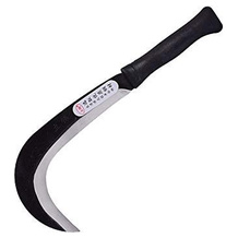 Z-fiber Sichel