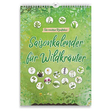 generisch Gemüsekalender