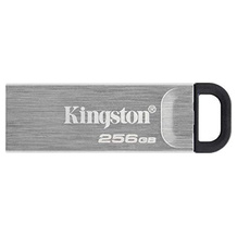 Kingston DTKN/256GB
