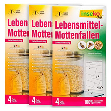 inseko Lebensmittelmottenfalle