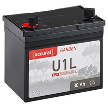 Accurat Rasentraktor-Batterie