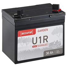 Accurat Rasentraktor-Batterie