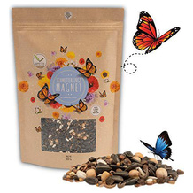 HappySeed Wildblumensamen