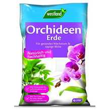 Westland Orchideenerde
