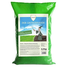 Linsor Schattenrasen-Samen