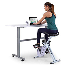 Capital Sports Deskbike