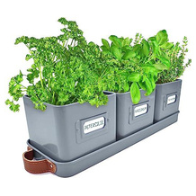 Green Thumbz Kräutertopf