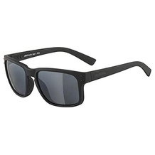 Alpina Ski-Sonnenbrille