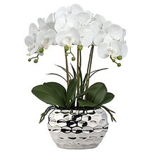 Oairse künstliche Orchidee