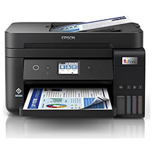 Epson 60402