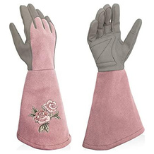 Intra-FIT Rosenhandschuh
